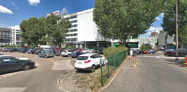 Zielone Krzesła Jubilerska