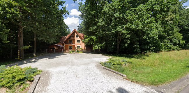 Opinii despre Restauracja Leśna în Stabrów - Gastronomia