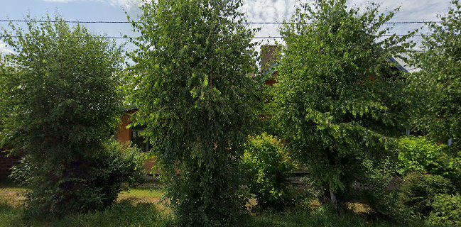 Restauracja Gruzińska Sviri