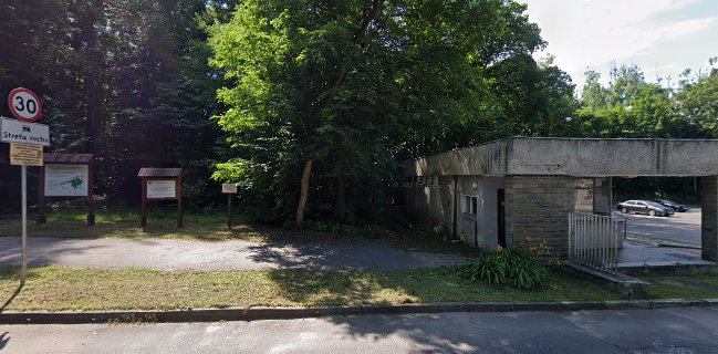 Przez Lody Do Serca /Kebab ali baba/Sole pizza