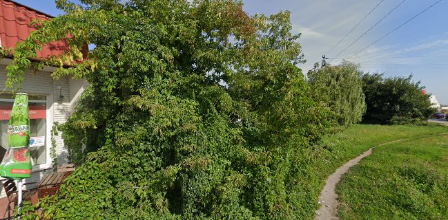 Sonia Bar Restauracja Obiady domowe Bistro Karczma