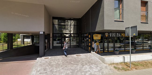 Piwo Świeże dziś z Browaru Tenczynek - Gliwice