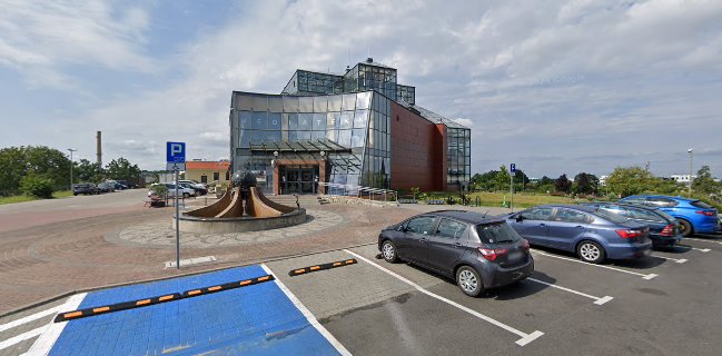 Restauracja Palmiarnia