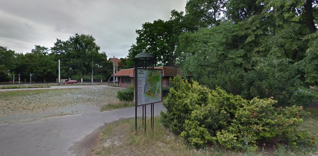 Opinii despre Pizza nel Parco în Wrocław - Gastronomia