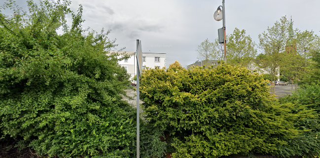 Ogródek piwny Rynek Rydułtowy - Piwiarnia Miejska