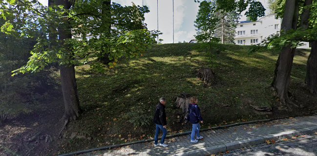 Restauracja ZIELONA & LIMBA