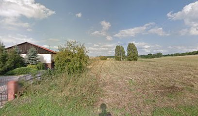 Jackowska Felicja. Piekarnia, cukiernia