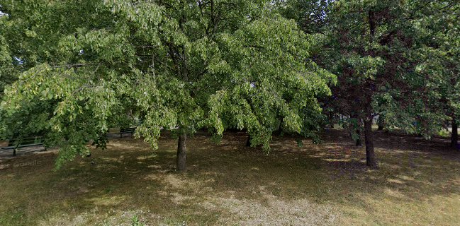 Piekarnia Cukiernia Nowaczyk_sklep firmowy Poznań/Piątkowo