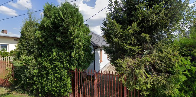 Prokop Piotr. Cukiernia