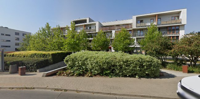 Modern Asia Eat. Jedzenie owadów, owoców morza i ryżu.