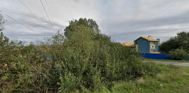 J & J Sowilo. Jetke J.