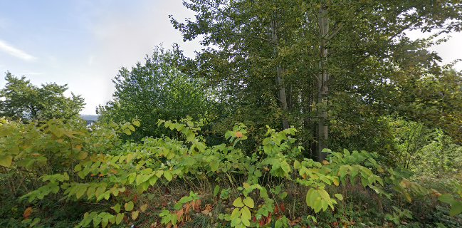 Katering - Bożena Wachowska