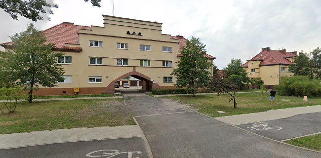 Lody maturalne na zapleczu