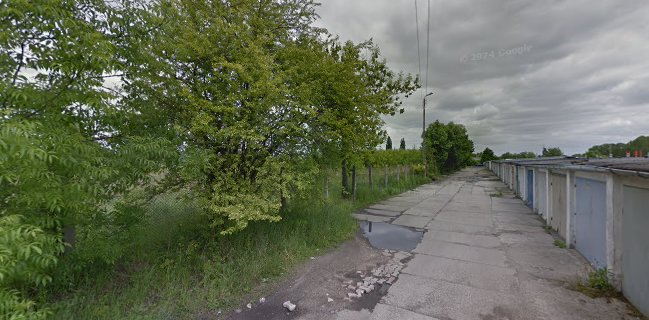 Choice - Lody, Praliny, Świeże soki